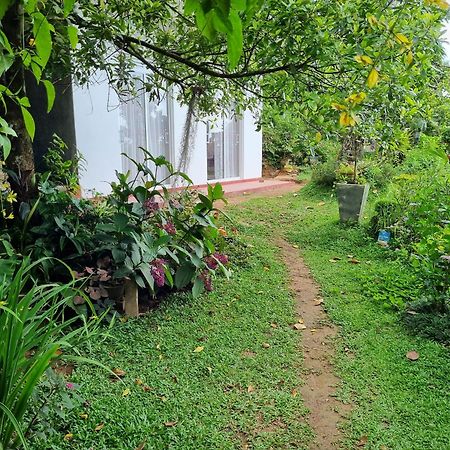 Squirrel'S Nest Hotel Kandy Exterior foto