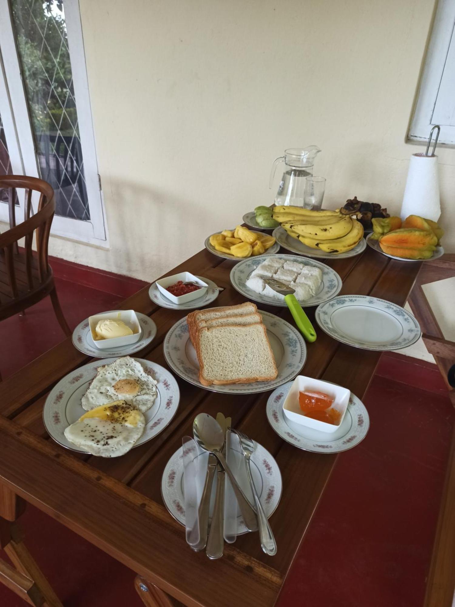 Squirrel'S Nest Hotel Kandy Exterior foto