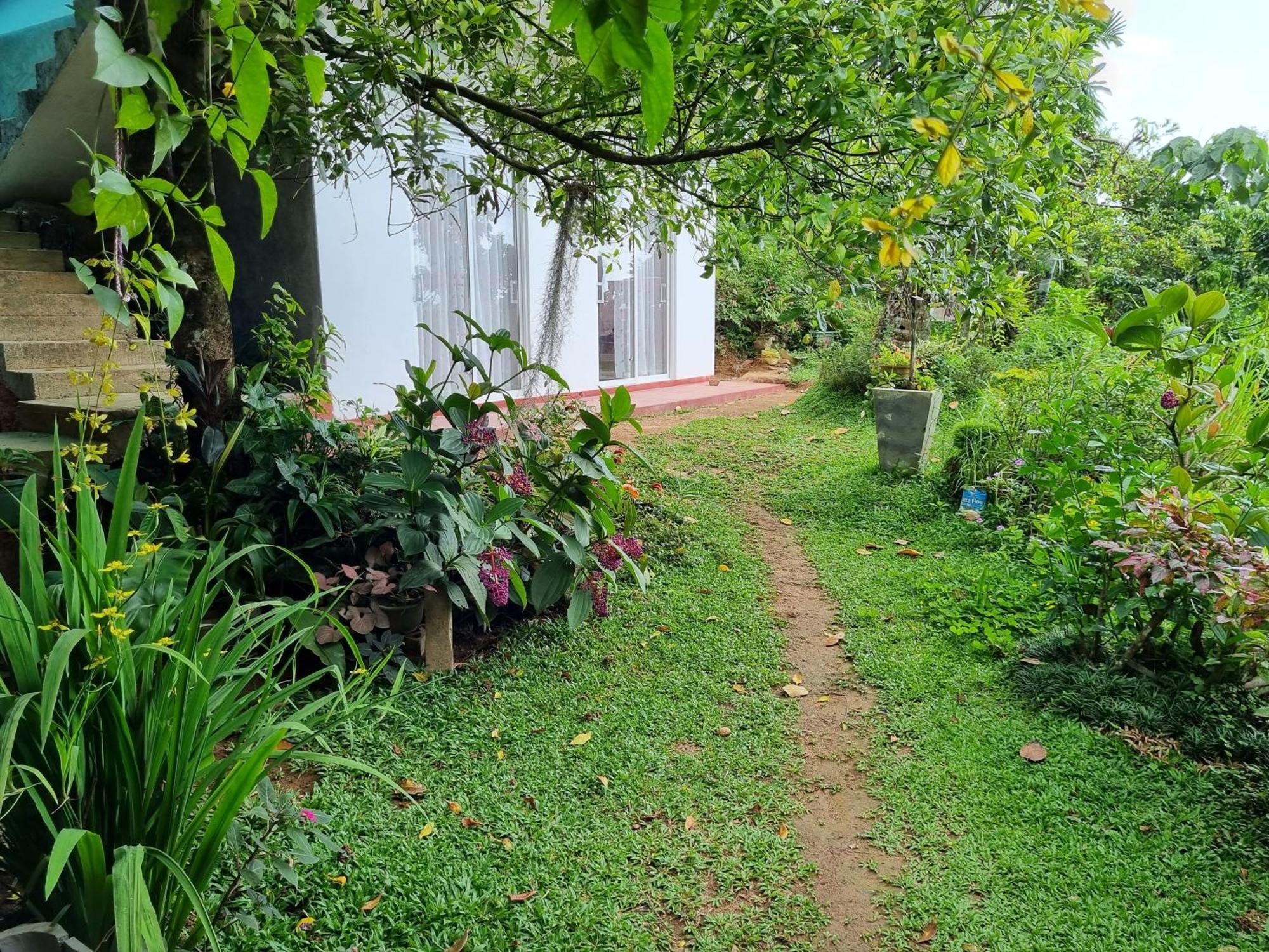 Squirrel'S Nest Hotel Kandy Exterior foto